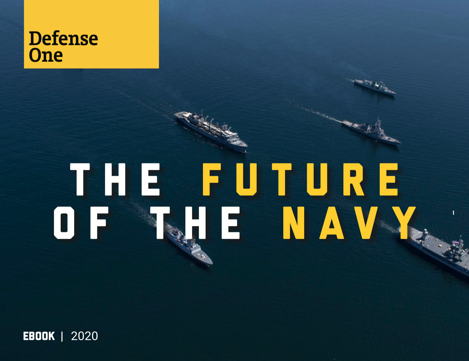 The Future of the Navy